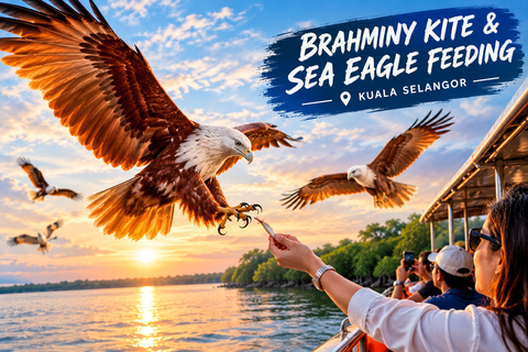 From Kuala Lumpur: Kuala Selangor Firefly Cruise & Dinner