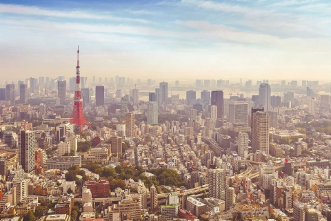 Tokyo : Journée complète de visite à pied privée avec un guide