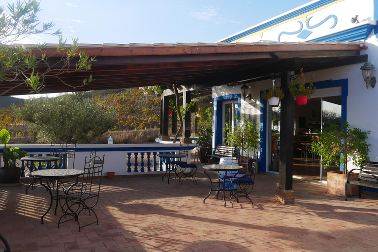 Albufeira, Olhão, Faro: visit to a vineyard, free time in Silves