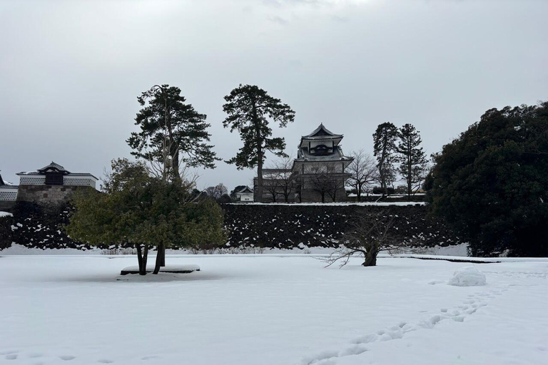 Discover Kanazawa: Market, Castle & Garden walk with a Local