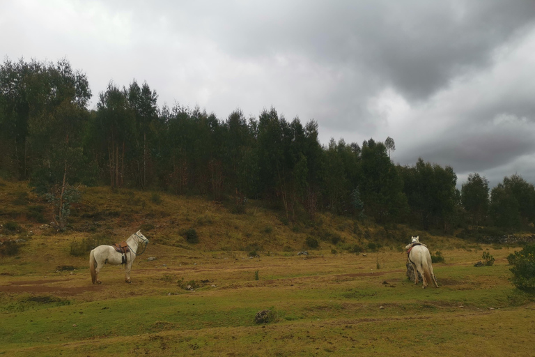 Cusco: Horseback Riding Tour to Inca Temples and Viewpoints