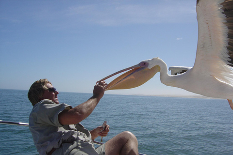 Walvis Bay: Crociera in catamarano e tour del porto di Sandwich