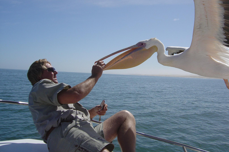 Walvis Bay : Croisière en catamaran et visite du port de Sandwich