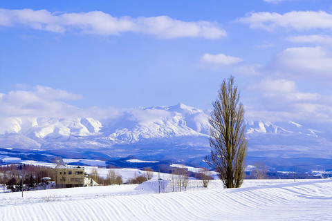Asahiyama Adventure: Zoo+Waterfalls & Blue Pond Day Tour Meet at Exit 31 of Odori Park Subway Station