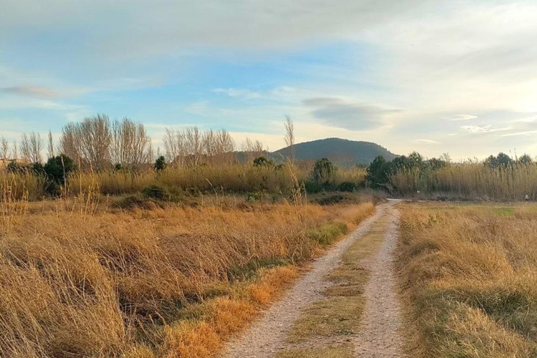 Active Bike Tour: River Turia Natural Park. Private Bike Tour 5 hours