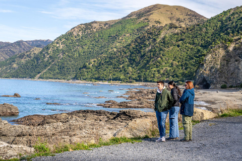From Christchurch: Kaikōura Day Tour with 30 minute Flight