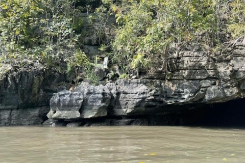 Excursión por los manglares de Langkawi: Excursión a los manglares de dos horas (Privada)Langkawi: Excursión de dos horas por los manglares con Sevensea Adventure