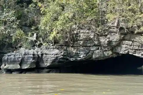 Mangrove de Langkawi : Bateau à partager 3 heures estimées (déjeuner)