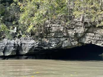 Langkawi Mangrove : Sharing Boat 3Hour estimated (lunch)