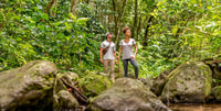 Rainforest Hike and Beach - Housity