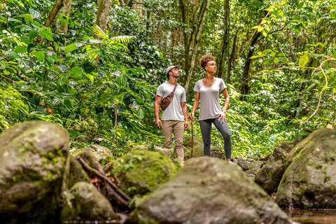 Randonnée dans la forêt tropicale et plageAventure dans la forêt tropicale et plage