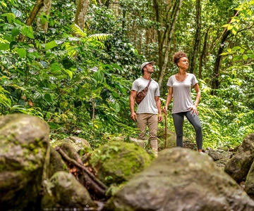 Rainforest Adventure