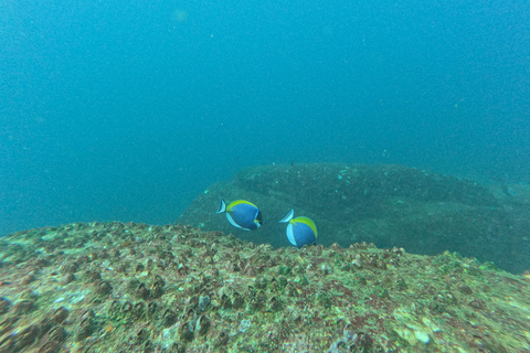 Mirissa: Scuba Diving Experience & Refreshments for Beginner