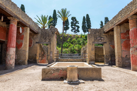 Herculaneum Guided Tour with Fast Train from Rome French language tour