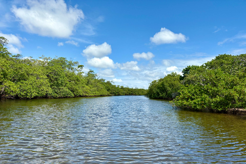 Fort Lauderdale: Kayak & Paddleboard Mangroves Eco Adventure