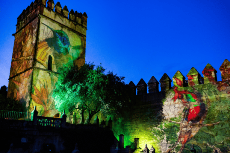 Córdoba: Old Town & Alcázar Private Tour + Light Show
