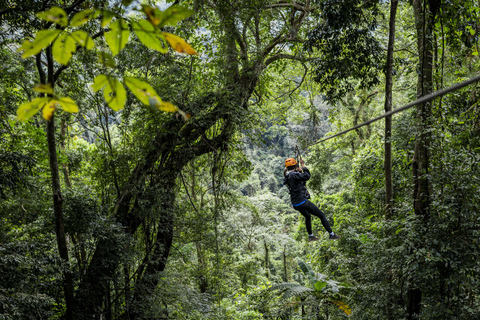 Cancún: Przygoda na quadach, tyrolki i kąpiel w cenote w dżungli