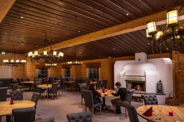 Rovaniemi: New Year's Eve Special Aurora Safari