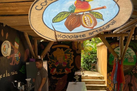 Medellín: Chocolate Farm Tour with Cocoa Exfoliation