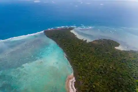 Excursión de un día a la isla de Pungume, la cueva de Saalam y la playa de Mtende