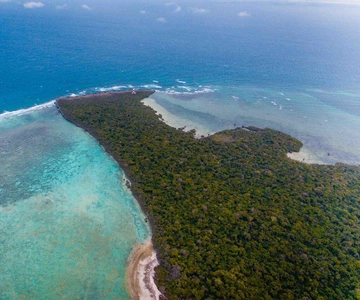Excursión de un día a la isla de Pungume, la cueva de Saalam y la playa de Mtende