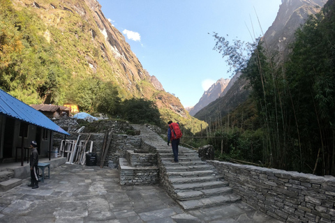 Pokhara: 7-Day Annapurna Base Camp and Poon Hill Sunrise