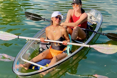 Miami Beach: Clear Kayak Tour or LED Glow Kayak Experience Glow Kayak Tour
