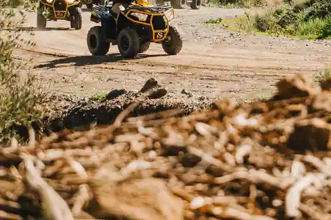 Málaga: Passeio off-road em quadriciclo de 2 lugares em Mijas