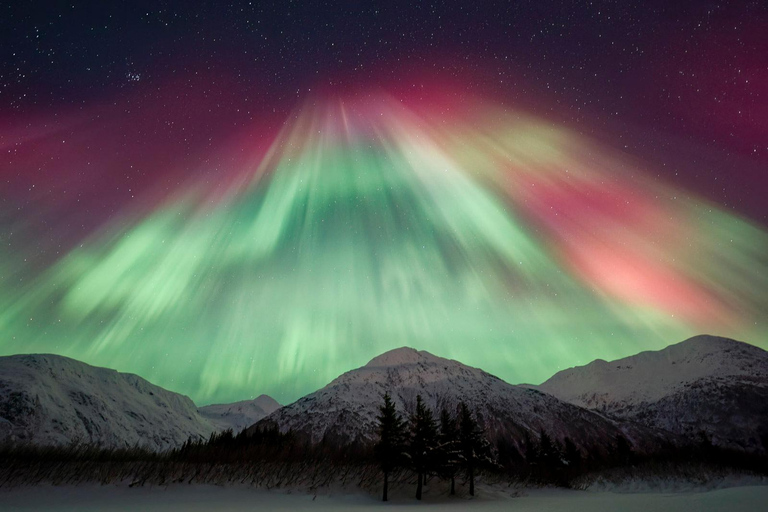 Anchorage: Aurora Borealis Northern Lights Photography Tour