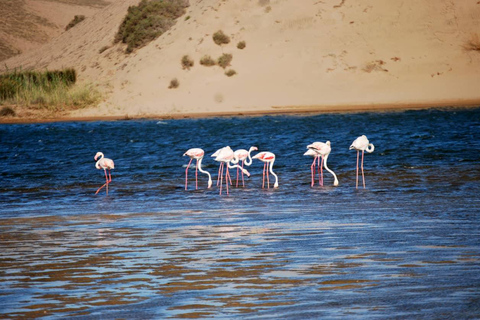 Souss-Massa National Park Entry Ticket