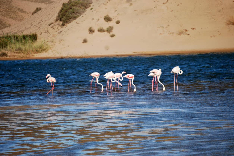 Souss-Massa National Park Entry Ticket