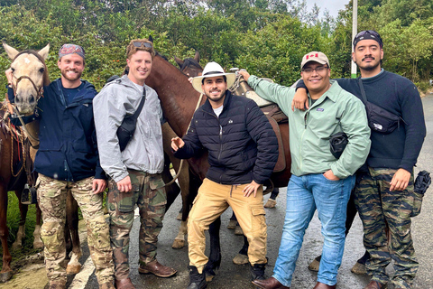 2-hour horseback riding + Private transportation + Photos & videos + Gift for the first 5 to book 2-hour horseback ride + private transportation + photos & videos + gift for the first 5 to book.