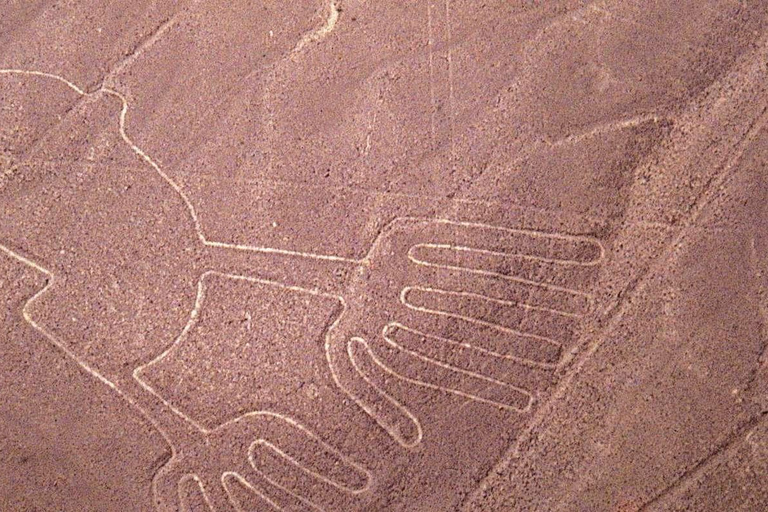 Desde Lima: Excursión Privada Líneas de Nazca y Oasis de la Huacachina