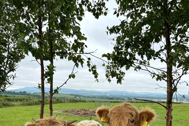 Tour privado de las Highlands, Lochs y Castillos desde Edimburgo