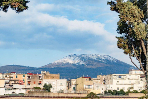 Pompei and Herculaneum: Skip the Line Entry + Audioguide