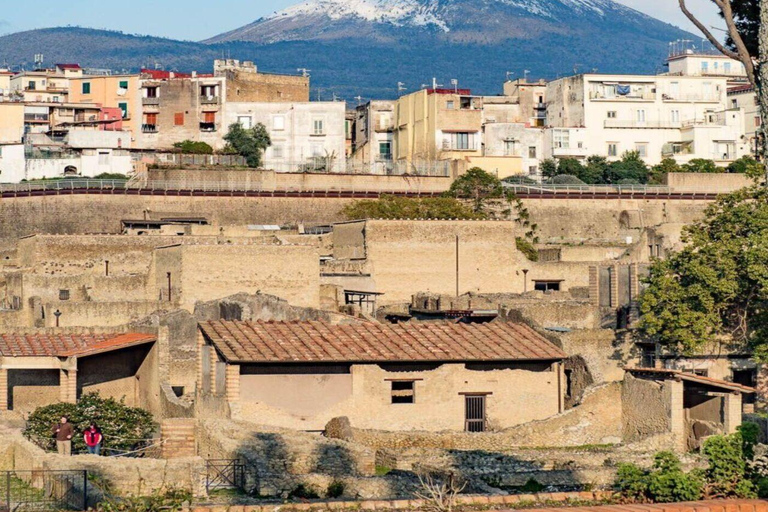 Pompei and Herculaneum: Skip the Line Entry + Audioguide