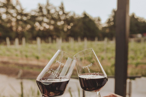 Da Colonia: &quot;De Copas Tour&quot;-Bodega El Legado e Pueblo Tannat a Carmelo