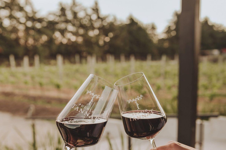 Da Colonia: &quot;De Copas Tour&quot;-Bodega El Legado e Pueblo Tannat a Carmelo