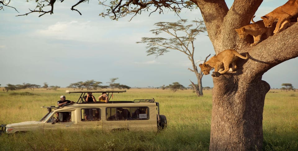 3 días Lago Manyara Ngorongoro y Parque Nacional de Tarangire