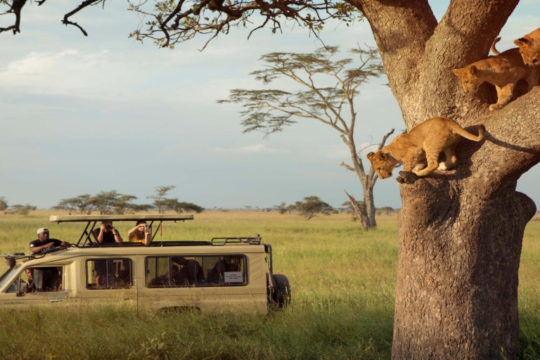 3 Days Ngorongoro Crater Wildlife Mid-range Safari
