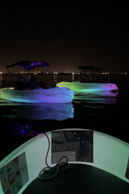 San Diego, Night Date Glow Pedal Boat with Downtown Views - Housity