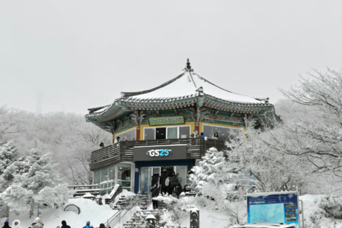 Jeju: UNESCO-Listed Southern Authentic Day Tour