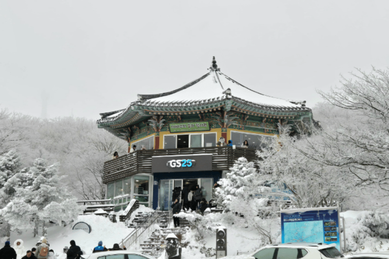 Jeju: UNESCO-Listed Southern Authentic Day Tour