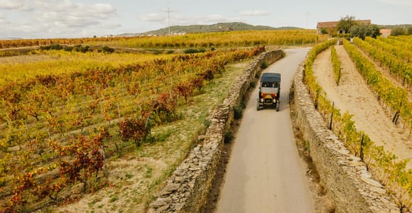 Zwei Tage zum Herbstlaub im Douro-Tal