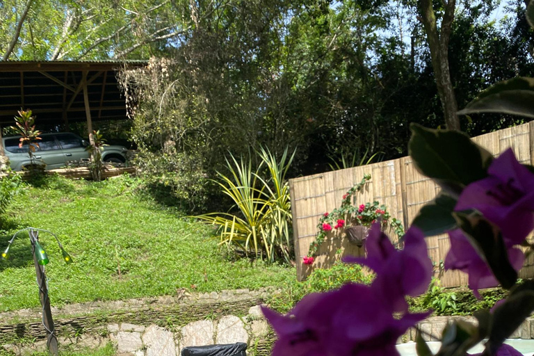 Minca: Sound Bath and Jacuzzi Experience