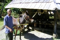 From Castries, Full-Day Catamaran Tour of Saint Lucia - Housity
