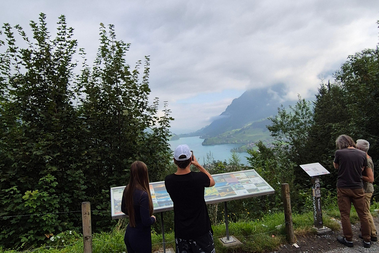 Best of Central Switzerland Day Trip Central Switzerland Day Trip from Lucerne Private