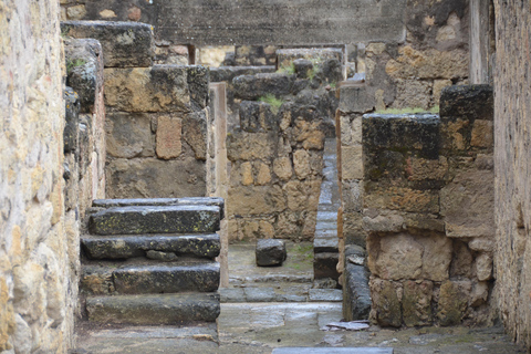 Córdoba: Medina Azahara Guided Tour with Shuttle Bus Córdoba: Medina Azahara Guided Tour without Shuttle Bus