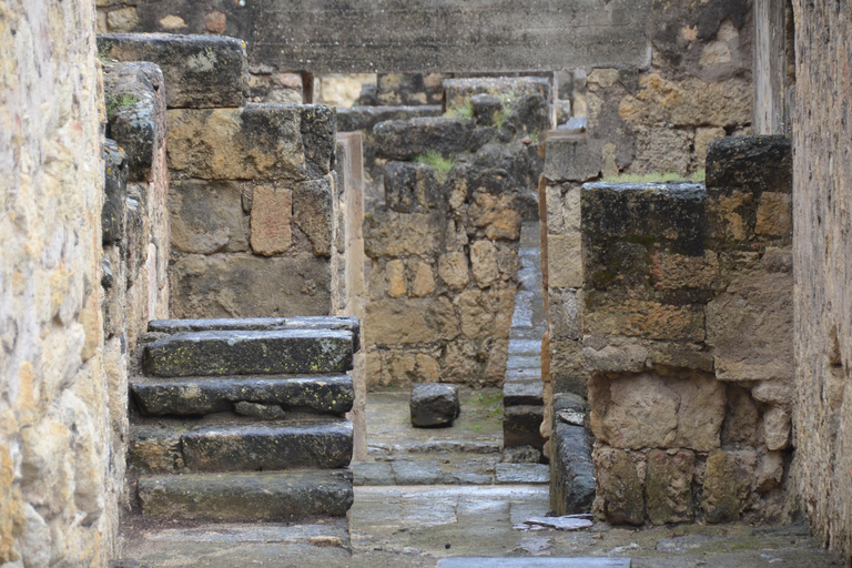 Córdoba: Medina Azahara Guided Tour with Shuttle Bus Córdoba: Medina Azahara Guided Tour without Shuttle Bus