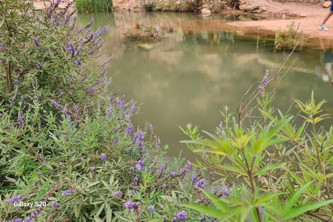 Agadir: Paradise Valley & Atlas Mountains Day Trip